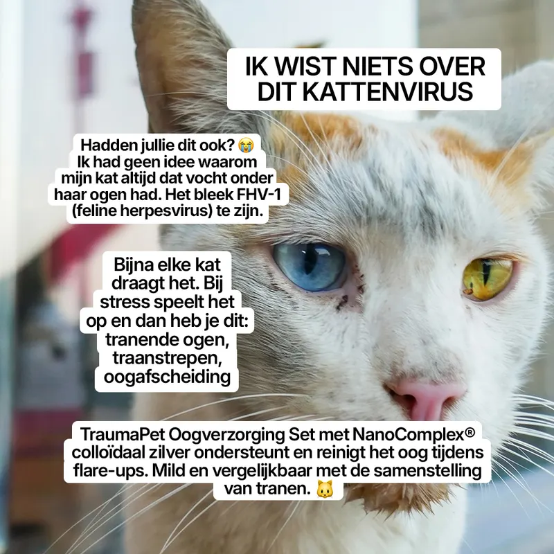 Ad creative (NL)